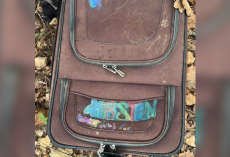 Driver Opens Abandoned Suitcase On Highway Shoulder — Finds 4 Tiny Puppies Stuffed Inside