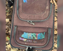 Driver Opens Abandoned Suitcase On Highway Shoulder — Finds 4 Tiny Puppies Stuffed Inside