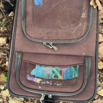 Driver Opens Abandoned Suitcase On Highway Shoulder — Finds 4 Tiny Puppies Stuffed Inside