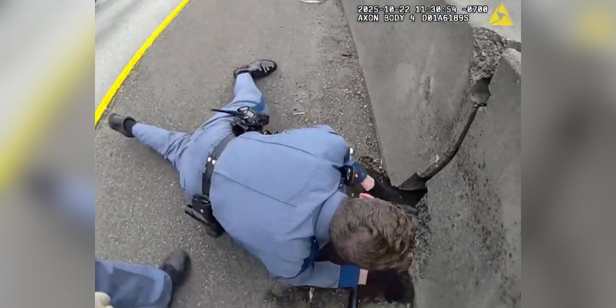 Body Cam Shows Officers Braving Busy Interstate To Save Tiny Kitten Frozen In Fear