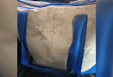 Woman Leaving Work Finds Zipped Canvas Tote — And Four Newborn Kittens Inside