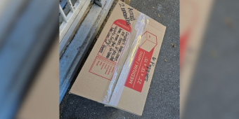 Rescue Worker Shocked to Discover Six Tiny Puppies Abandoned in Box at Shelter Door