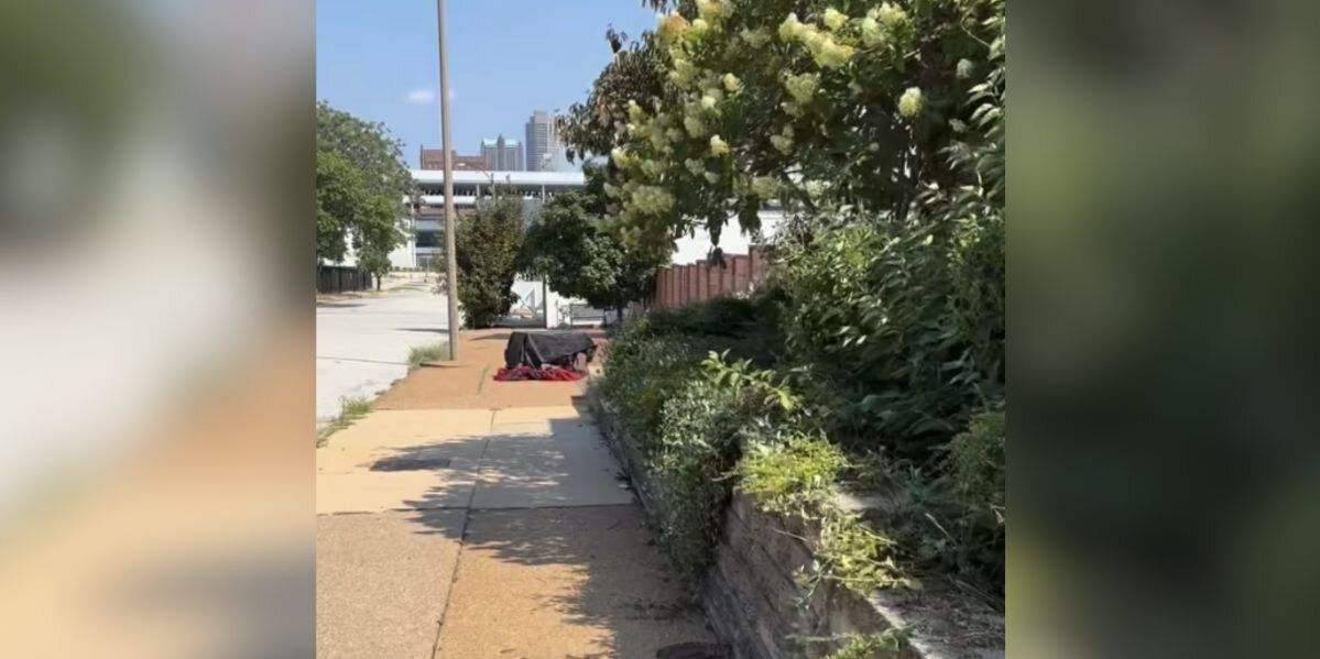 Dog Walker Drops Everything After Spotting Crate Sweltering In The Heat