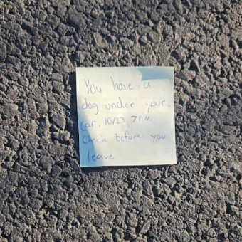 Car Owner Drops To Their Knees After Reading Mysterious Note On Their Vehicle