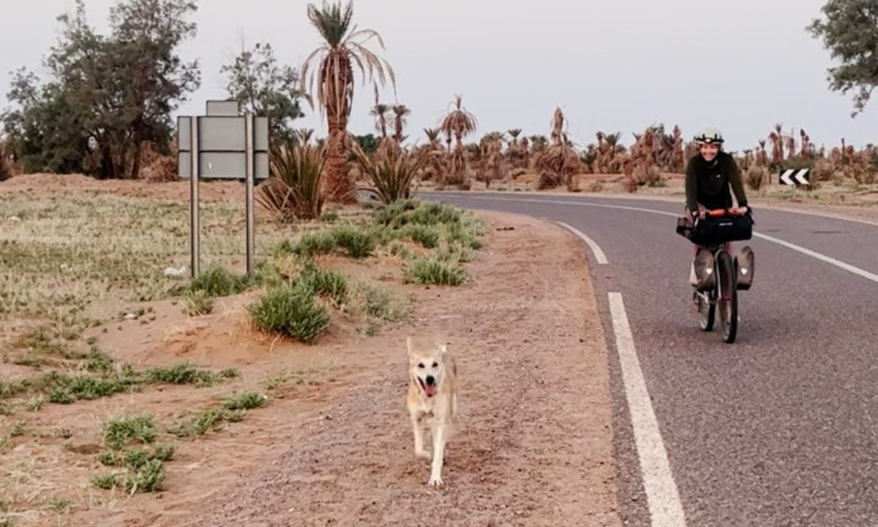 Stray Dog Refuses To Leave Cyclists — Follows Them 62 Miles Across The Sahara Desert