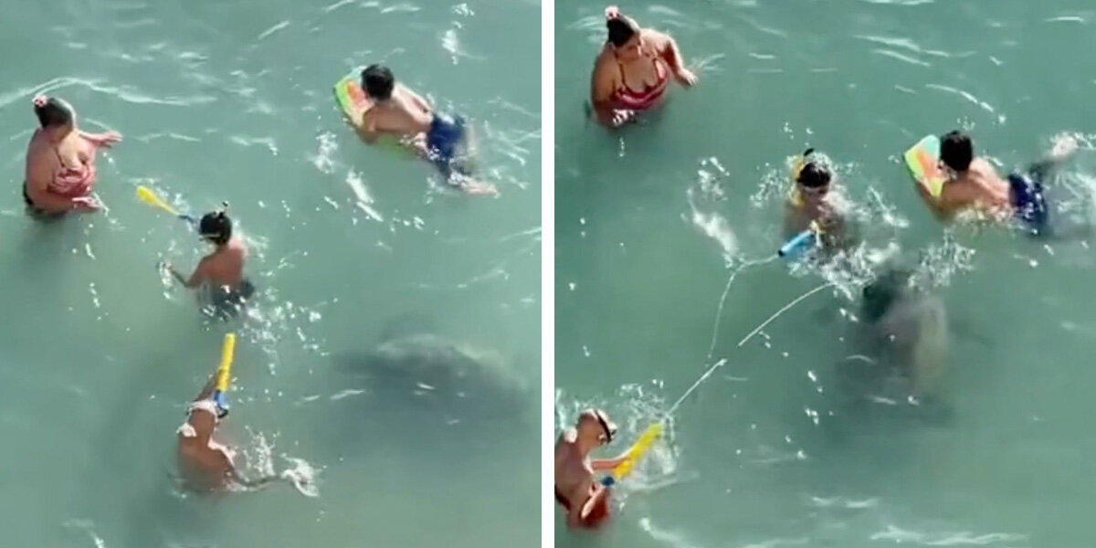 Family Has No Idea Who’s Swimming Just Inches Away From Them