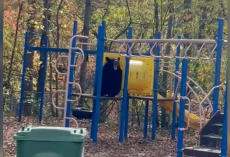 Playground Turns Into Bear Family’s Personal Wonderland — And the Camera Gets It All