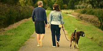 How Many Walks Does Your Dog Really Need Each Day?