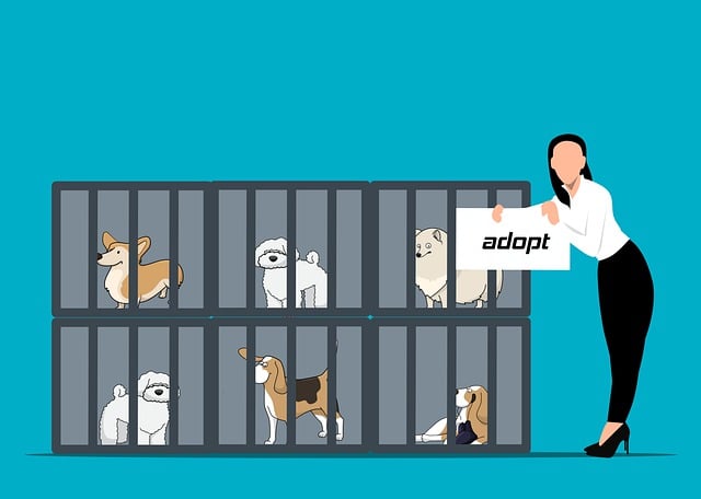 Buying vs. Adopting Dogs: How to Make the Right Choice