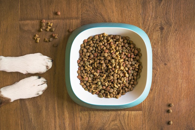 The 8 Best Weight-Loss Dog Foods to Help Your Pup Get Healthy