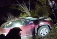 Deputies Answer Car Break-In Call — Find a “Furry Bandit” in the Driver’s Seat