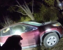 Deputies Answer Car Break-In Call — Find a “Furry Bandit” in the Driver’s Seat