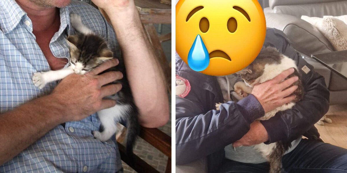 Missing Cat Reunites With His Dad After 15 Years — Just In Time To Say Goodbye