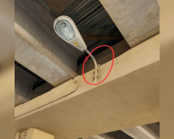 Woman Walking Under Highway Overpass Hears Faint Cries — And Finds a Kitten Stranded 16 Feet Up