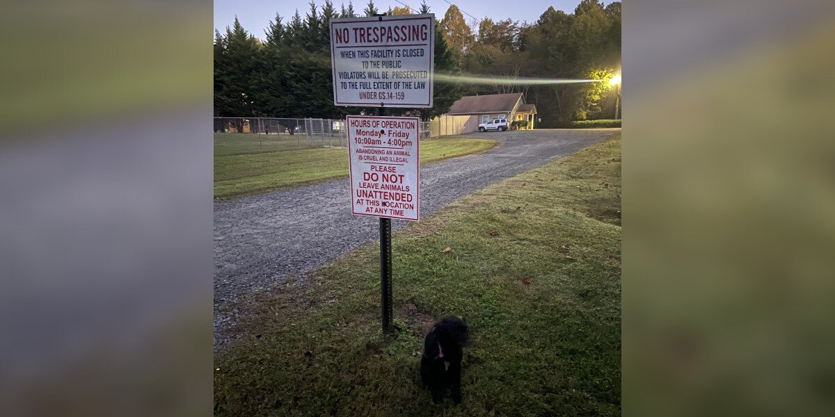Woman Spots Dark Shape Beside a “Do Not Leave Animals” Sign — And Realizes It’s a Dog Waiting for Help