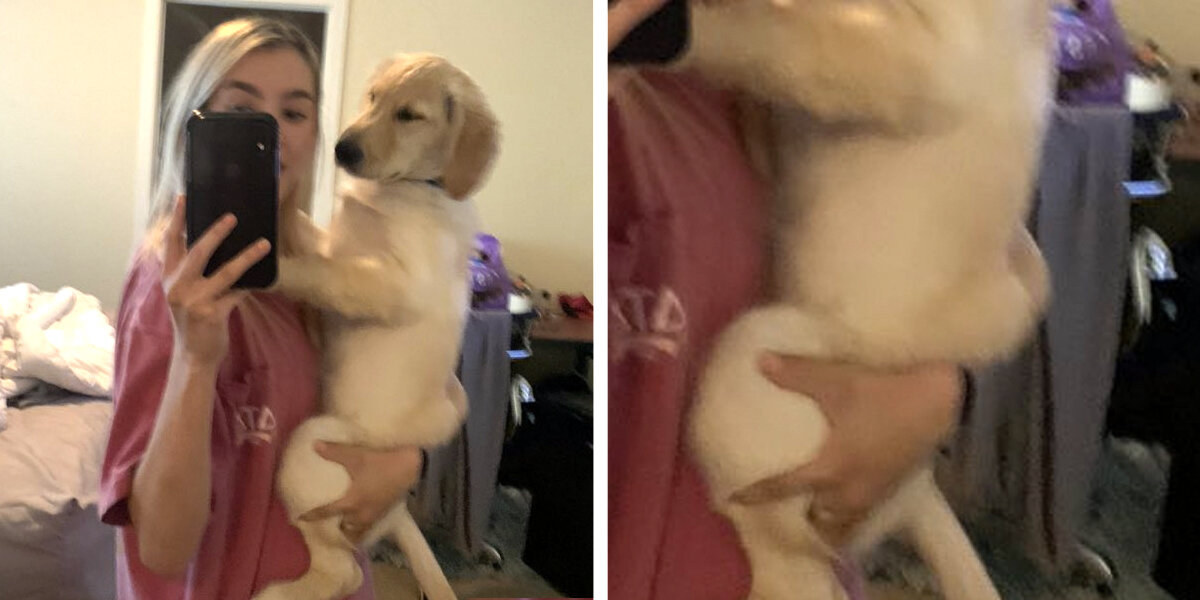 People Can’t Get Over This Puppy’s Hilariously Cute Little “Butt”