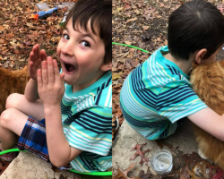 Little Boy Heartbroken Over His Cat’s Passing Lights Up When a New Kitty Shows Up at the Door