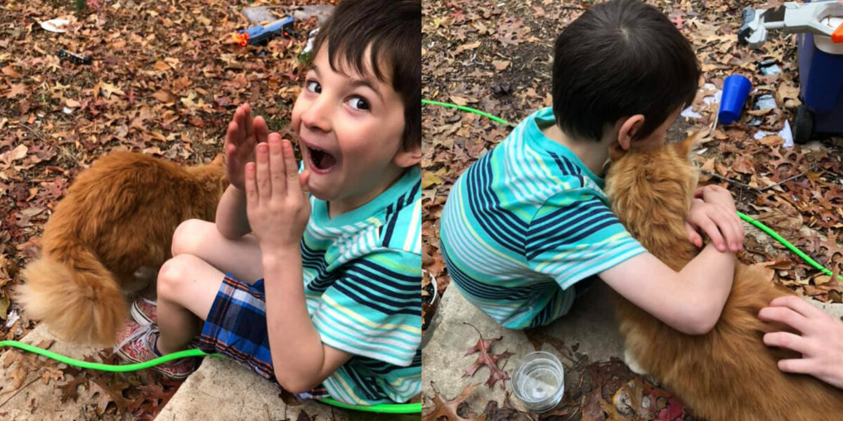 Little Boy Heartbroken Over His Cat’s Passing Lights Up When a New Kitty Shows Up at the Door