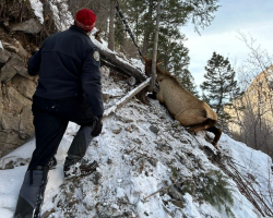 Ice Climbers Spot Something Massive Dangling From a Cliff — And Their Adventure Takes a Wild Turn