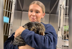Cat Hides Her Face After Being Returned to the Shelter — Until Someone Shows Her She’s Safe Again