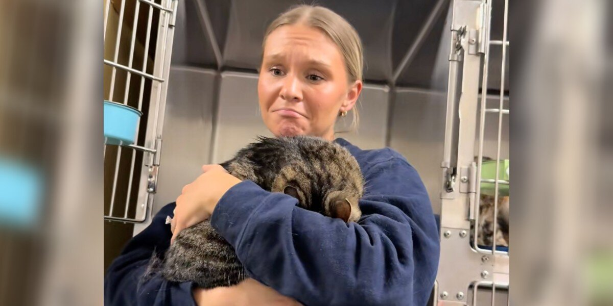 Cat Hides Her Face After Being Returned to the Shelter — Until Someone Shows Her She’s Safe Again