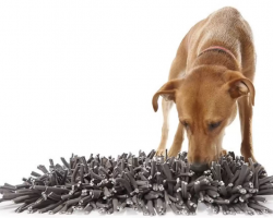 Snuffle Mats for Dogs: 5 Best Picks That Actually Keep Pups Busy