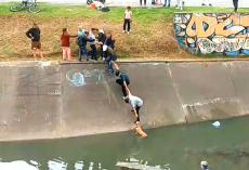 Neighbors Restore Faith In Humanity By Forming Human Chain To Save Dog From Canal