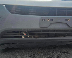 Officer Notices A Tiny Paw In A Car Bumper — And Makes A Split-Second Decision That Saves A Kitten