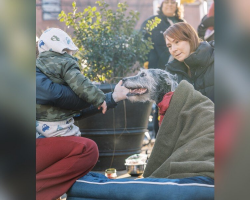 Dog Mom’s Facebook Post Turns Her Senior Pup’s Final Day Into a Neighborhood Celebration