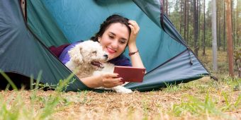 Camping With Dogs: Everything You Need to Know Before You Go