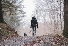 Hands-Free Dog Leashes: The Top 3 Trainer-Approved Picks