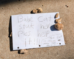 Handwritten Note From Elementary School Kids Leads Rescuer To Kitten Trapped In Storm Drain
