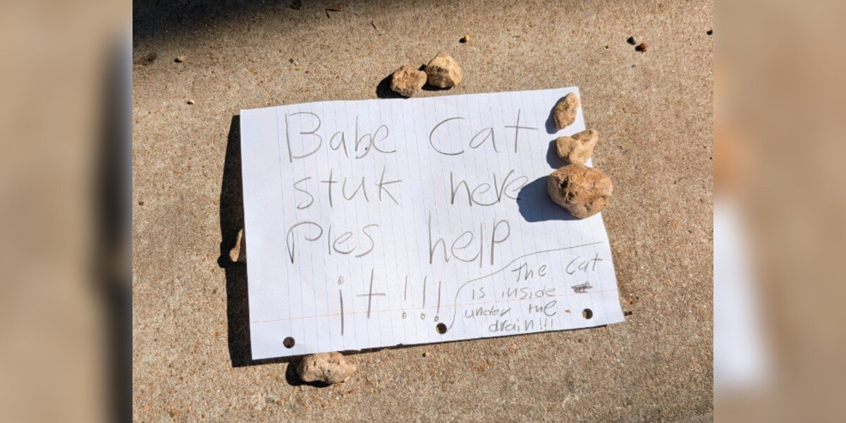 Handwritten Note From Elementary School Kids Leads Rescuer To Kitten Trapped In Storm Drain