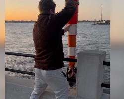 Morning Walk Turns Into A Race Against Time When Couple Uses Traffic Cone To Save Baby Raccoon