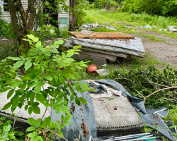 Six Abandoned Puppies Found Clinging To Each Other On A Dumped Mattress