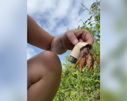 Woman Finds Hermit Crab Trapped In Plastic — And Gives Him The Home He Deserved