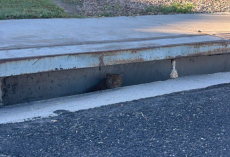 Woman Hears Crying From A Storm Drain β Then Learns The Three-Legged Cat Inside Is 14 Years Old
