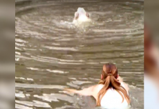 When A Dog Fell Into A Canal, This Hairstylist Didn’t Think Twice — She Jumped In After Her