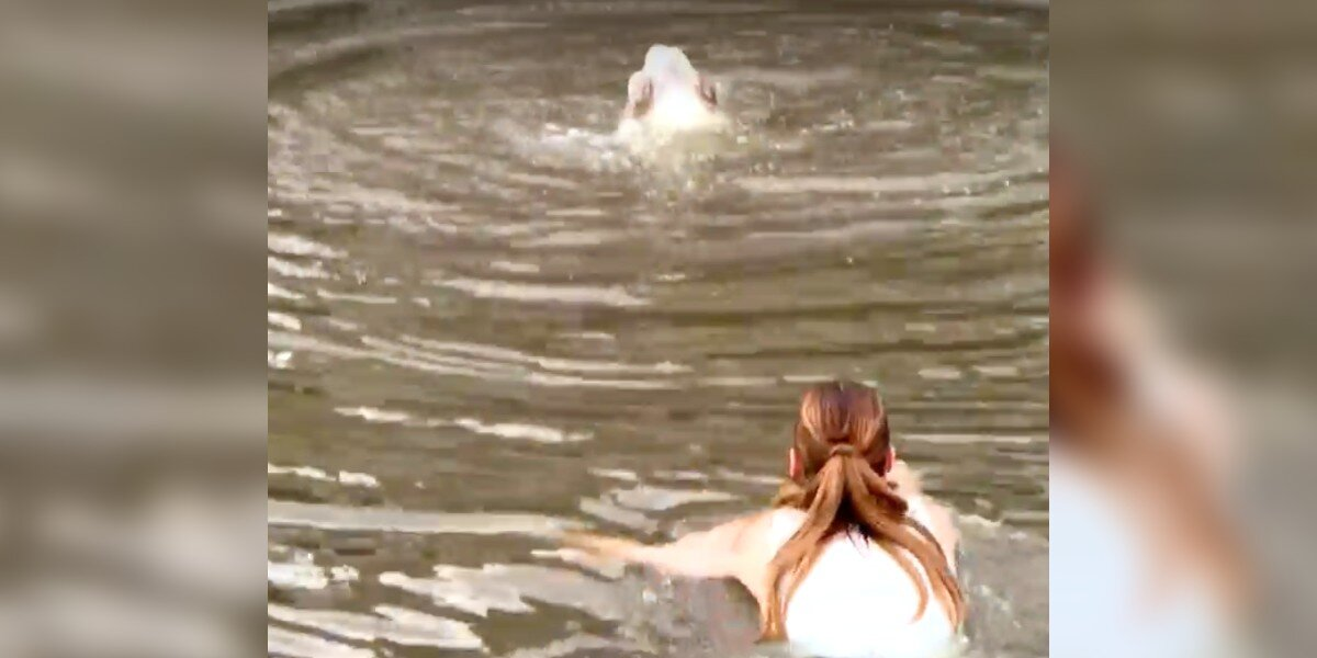 When A Dog Fell Into A Canal, This Hairstylist Didn’t Think Twice — She Jumped In After Her