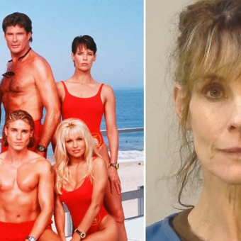 Baywatch icon arrested after freeing beagles from lab breeders