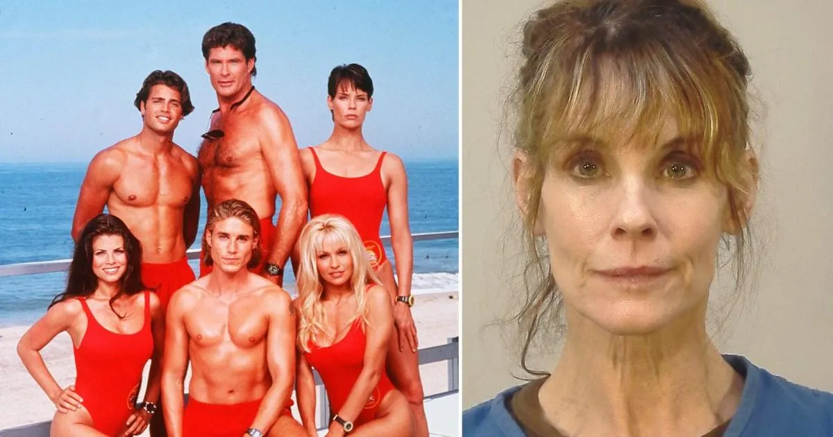 Baywatch icon arrested after freeing beagles from lab breeders