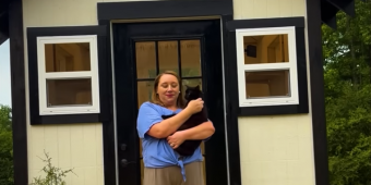 Cat Mom Builds a Custom Cabin for Her 7 Rescue Cats