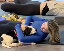 Shelter Puppy Picks One Woman At Yoga Class — And Won’t Leave Her Side