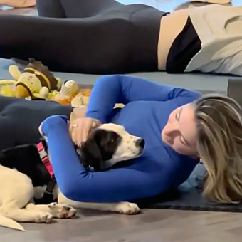 Shelter Puppy Picks One Woman At Yoga Class — And Won’t Leave Her Side