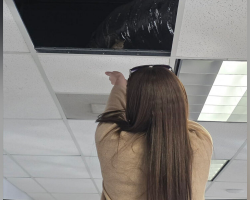 Dealership Employees Hear Tiny Noises Above Them — Then Watch Emotional Wildlife Reunion