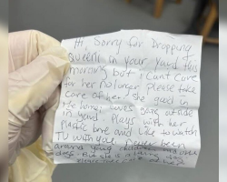 Family Discovers Shaking Dog Left In Their Yard — Then Reads The Heartbreaking Note Beside Her