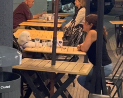 Stranger Films Woman Enjoying Dinner With Her Dog — And The Internet Can’t Get Enough