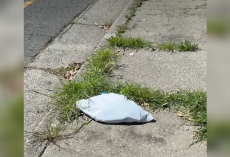 Woman Hears Tiny Cries Coming From A Trash Bag — Then Discovers Four Kittens Trapped Inside