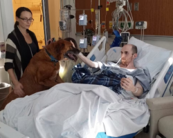 Young Man’s Final Wish Before Losing His Battle With Cancer Was One Last Hug From His Beloved Dog