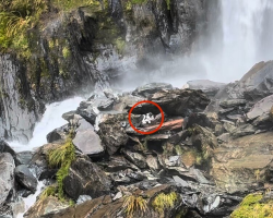 Woman Survives A 180-Foot Waterfall Fall — Then Her Missing Dog Is Found Waiting In The Same Spot A Week Later